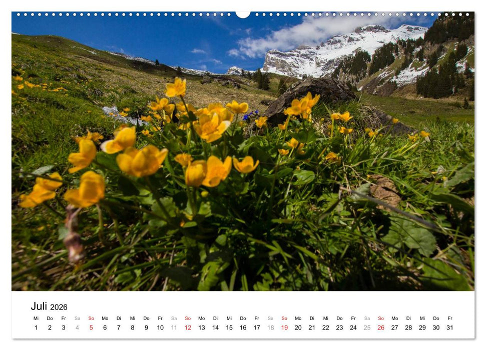 Berner Oberland (CALVENDO Premium Wandkalender 2026)