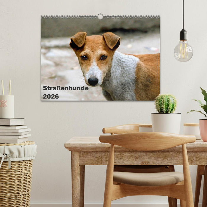 Straßenhunde (CALVENDO Wandkalender 2026)