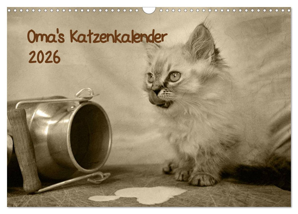 Oma's Katzenkalender 2026 (CALVENDO Wandkalender 2026)