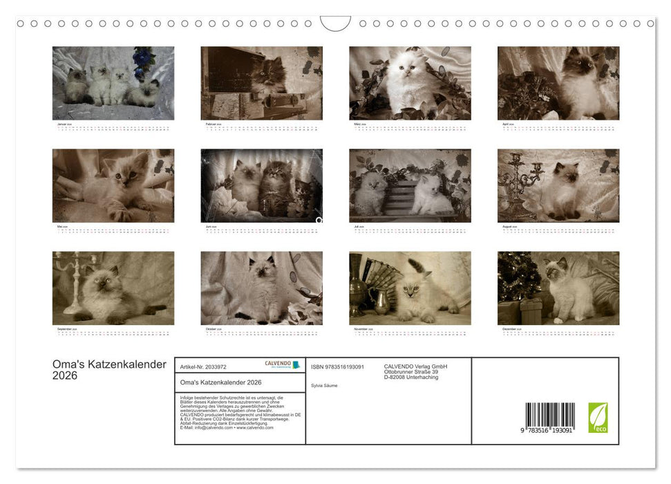 Oma's Katzenkalender 2026 (CALVENDO Wandkalender 2026)