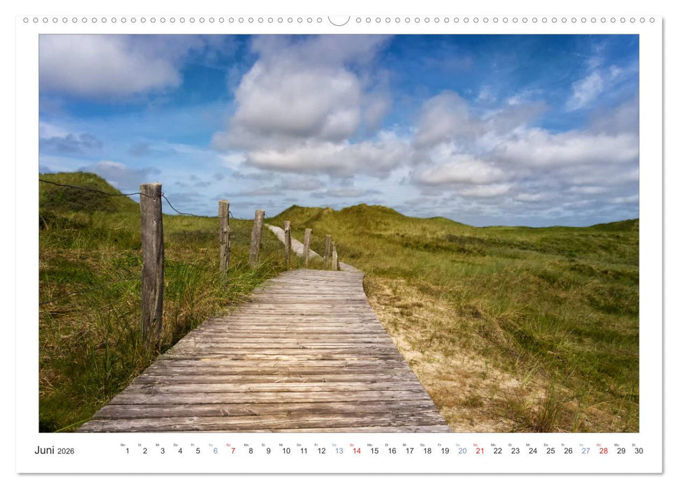 Impressionen der Nordseeinsel Amrum (CALVENDO Premium Wandkalender 2026)