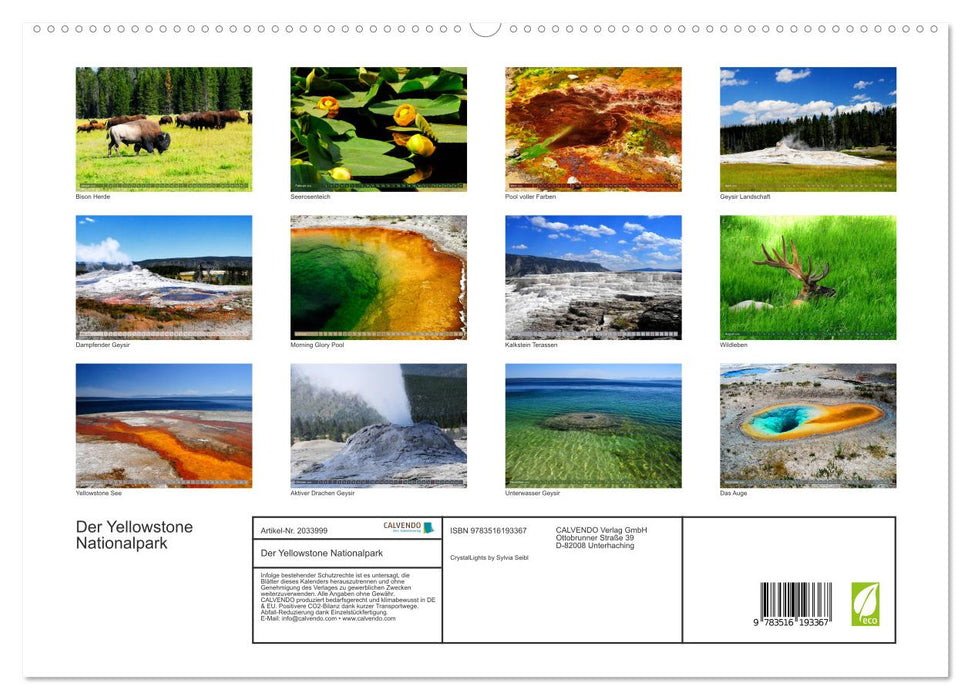 Der Yellowstone Nationalpark (CALVENDO Premium Wandkalender 2026)