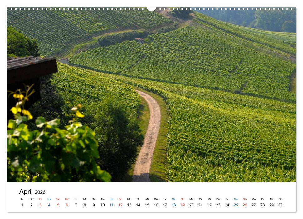 Württemberger Wein 2026 (CALVENDO Premium Wandkalender 2026)