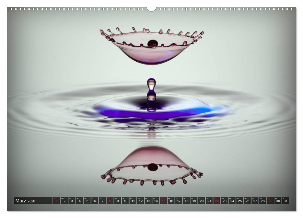 Wassertropfen Kunst Fotografie (CALVENDO Wandkalender 2026)