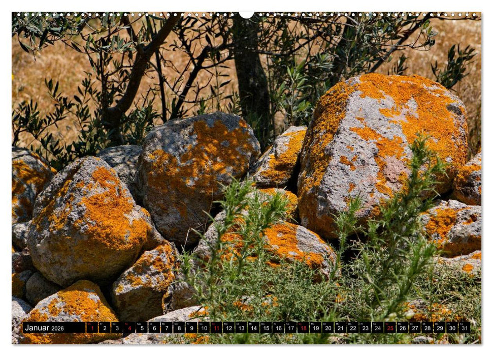 Milos, Insel der Farben (CALVENDO Premium Wandkalender 2026)