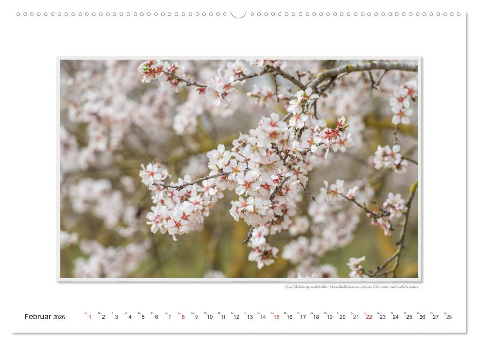 Emotionale Momente: Mallorca Best of (CALVENDO Premium Wandkalender 2026)