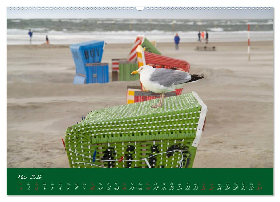 Strandkörbe – bunte Vielfalt an der Nordsee (CALVENDO Premium Wandkalender 2026)