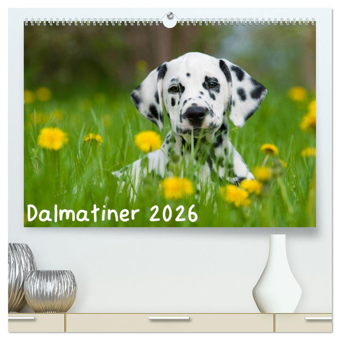 Dalmatiner 2026 (CALVENDO Premium Wandkalender 2026)