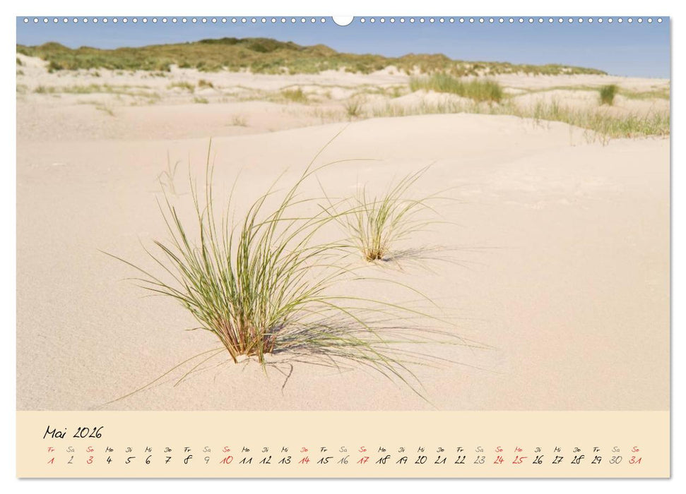 Nordsee – Dünen, Sand, Wasser und Wolken (CALVENDO Premium Wandkalender 2026)