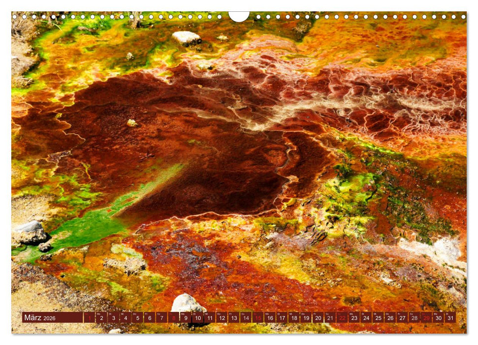 Der Yellowstone Nationalpark (CALVENDO Wandkalender 2026)