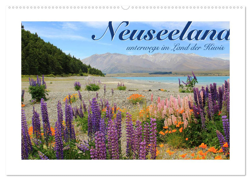 Neuseeland - unterwegs im Land der Kiwis (CALVENDO Wandkalender 2026)