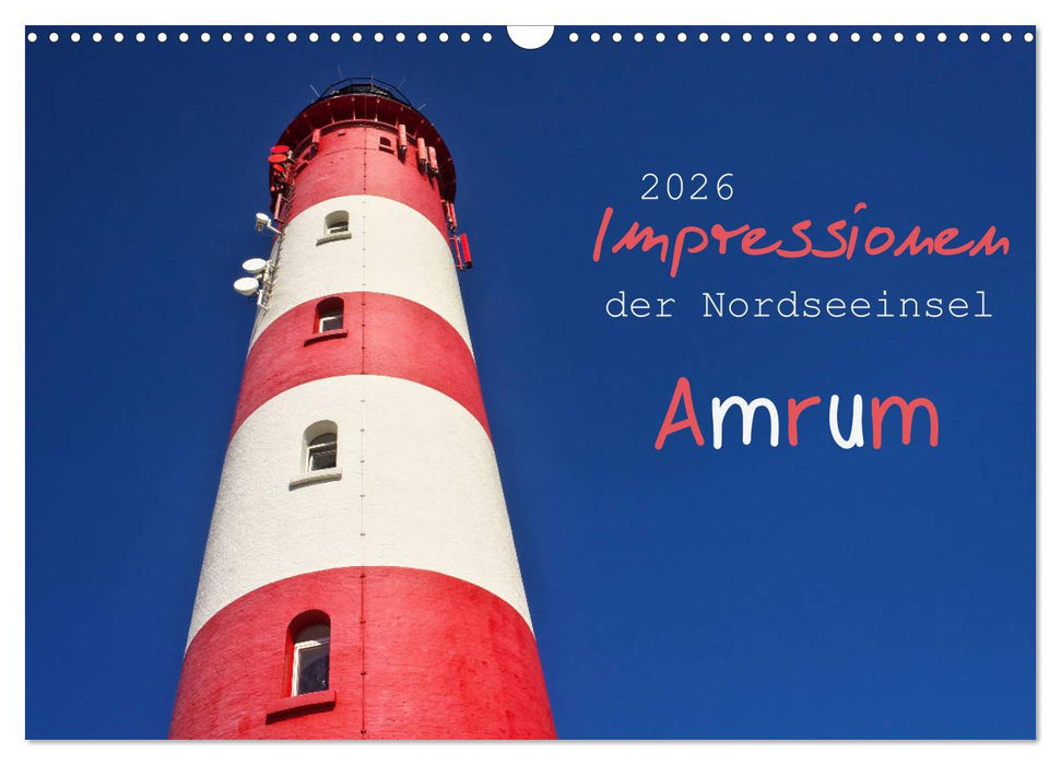 Impressionen der Nordseeinsel Amrum (CALVENDO Wandkalender 2026)
