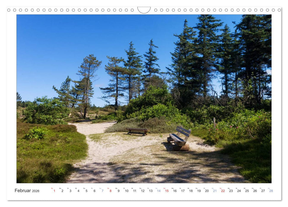 Impressionen der Nordseeinsel Amrum (CALVENDO Wandkalender 2026)
