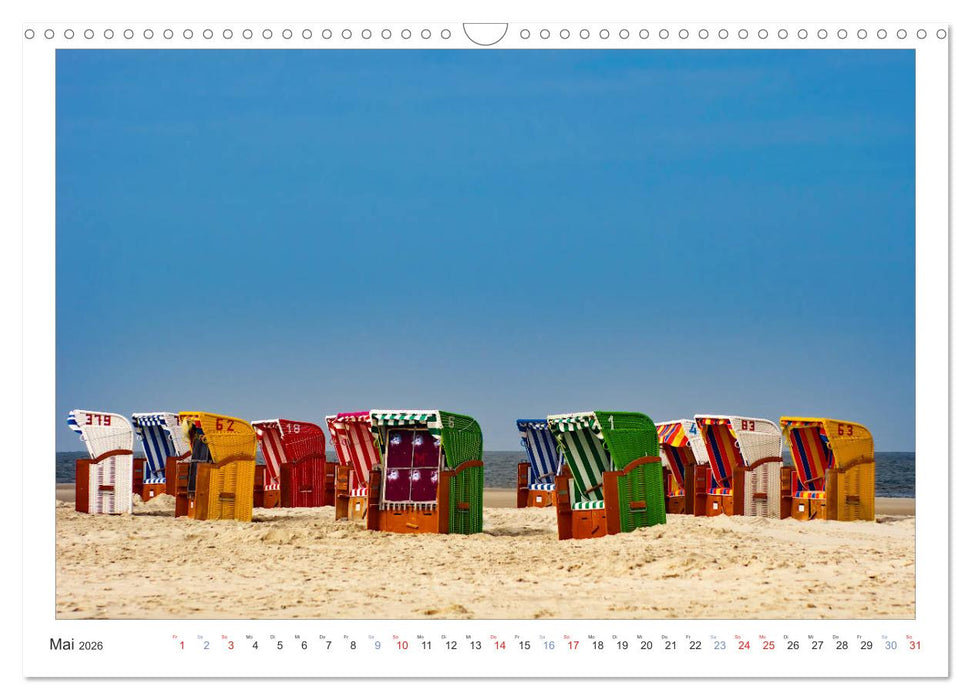 Impressionen der Nordseeinsel Amrum (CALVENDO Wandkalender 2026)