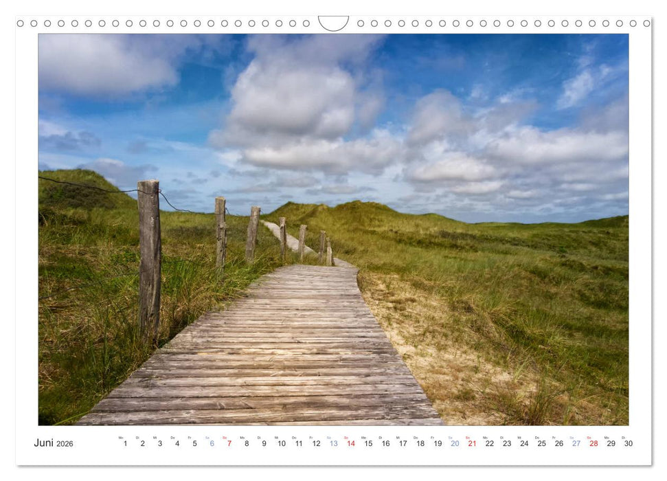 Impressionen der Nordseeinsel Amrum (CALVENDO Wandkalender 2026)