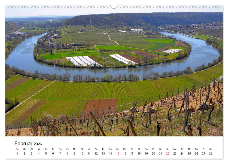 Württemberger Wein 2026 (CALVENDO Wandkalender 2026)