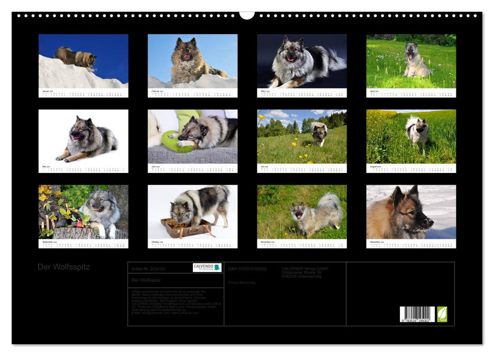 Der Wolfsspitz (CALVENDO Wandkalender 2026)