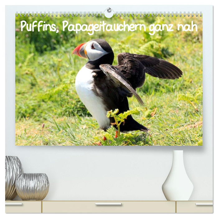 Puffins, Papageitauchern ganz nah (CALVENDO Premium Wandkalender 2026)
