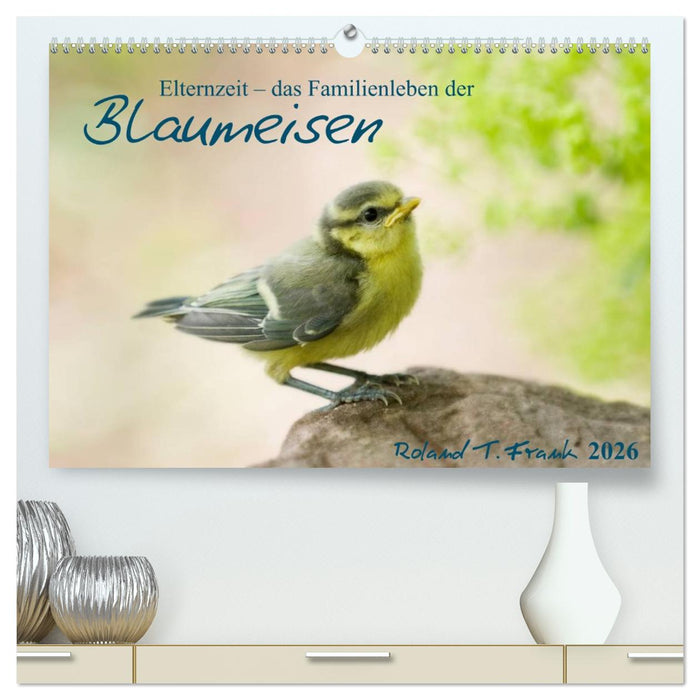 Elternzeit - das Familienleben der Blaumeisen (CALVENDO Premium Wandkalender 2026)
