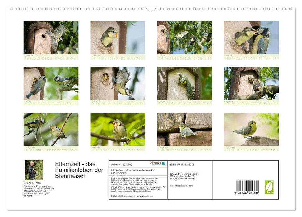 Elternzeit - das Familienleben der Blaumeisen (CALVENDO Premium Wandkalender 2026)