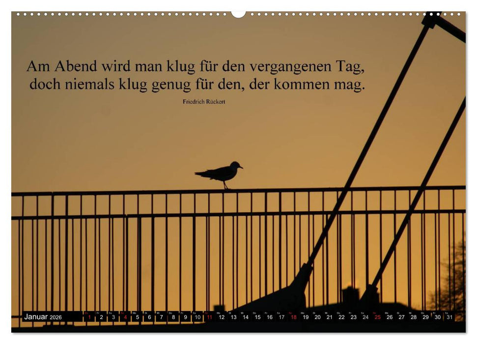 Weisheiten, Zitate und Sprüche - Ein Jahr voller Gedanken 2026 (CALVENDO Premium Wandkalender 2026)