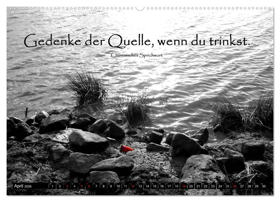 Weisheiten, Zitate und Sprüche - Ein Jahr voller Gedanken 2026 (CALVENDO Premium Wandkalender 2026)
