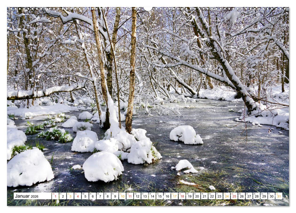 12 Monate Natur (CALVENDO Premium Wandkalender 2026)