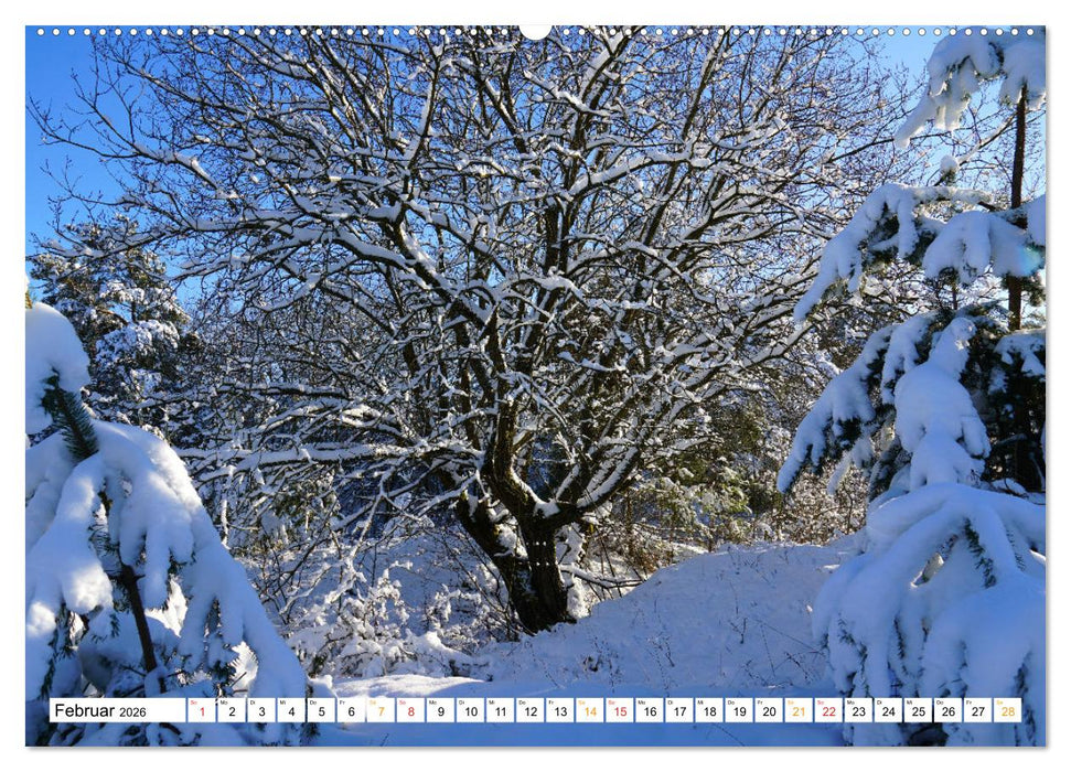 12 Monate Natur (CALVENDO Premium Wandkalender 2026)