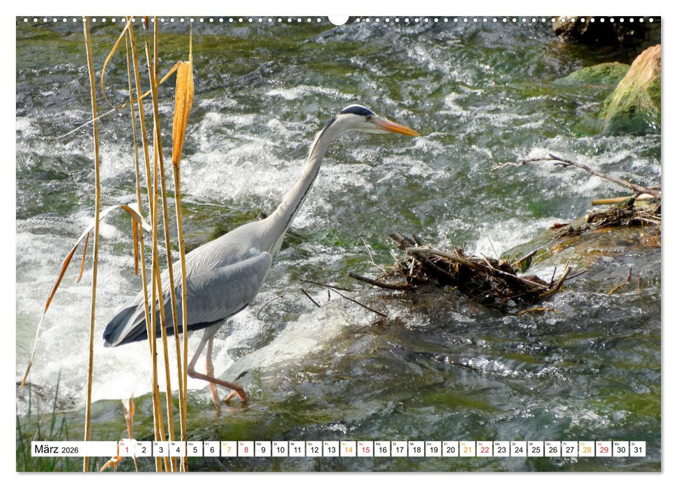 12 Monate Natur (CALVENDO Premium Wandkalender 2026)