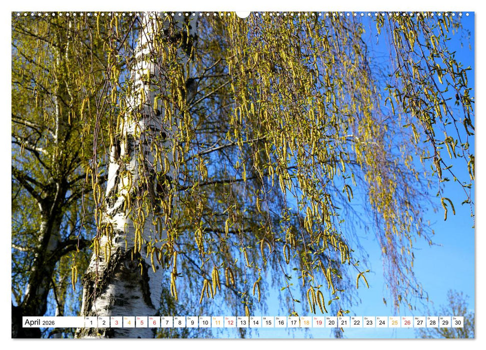 12 Monate Natur (CALVENDO Premium Wandkalender 2026)