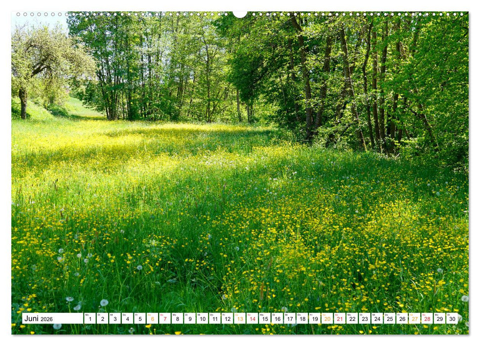 12 Monate Natur (CALVENDO Premium Wandkalender 2026)