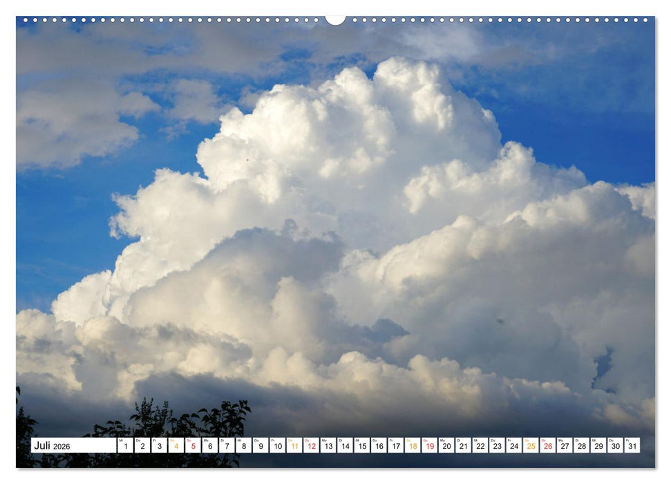 12 Monate Natur (CALVENDO Premium Wandkalender 2026)