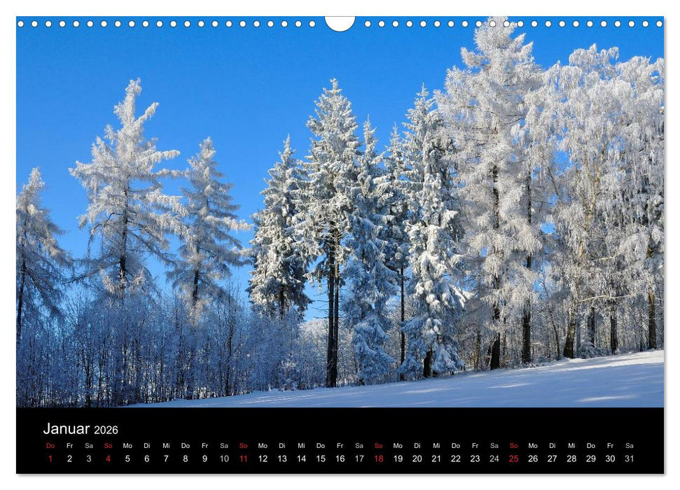 Bäume (CALVENDO Wandkalender 2026)