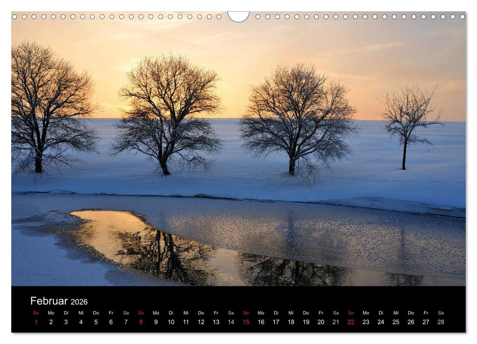 Bäume (CALVENDO Wandkalender 2026)