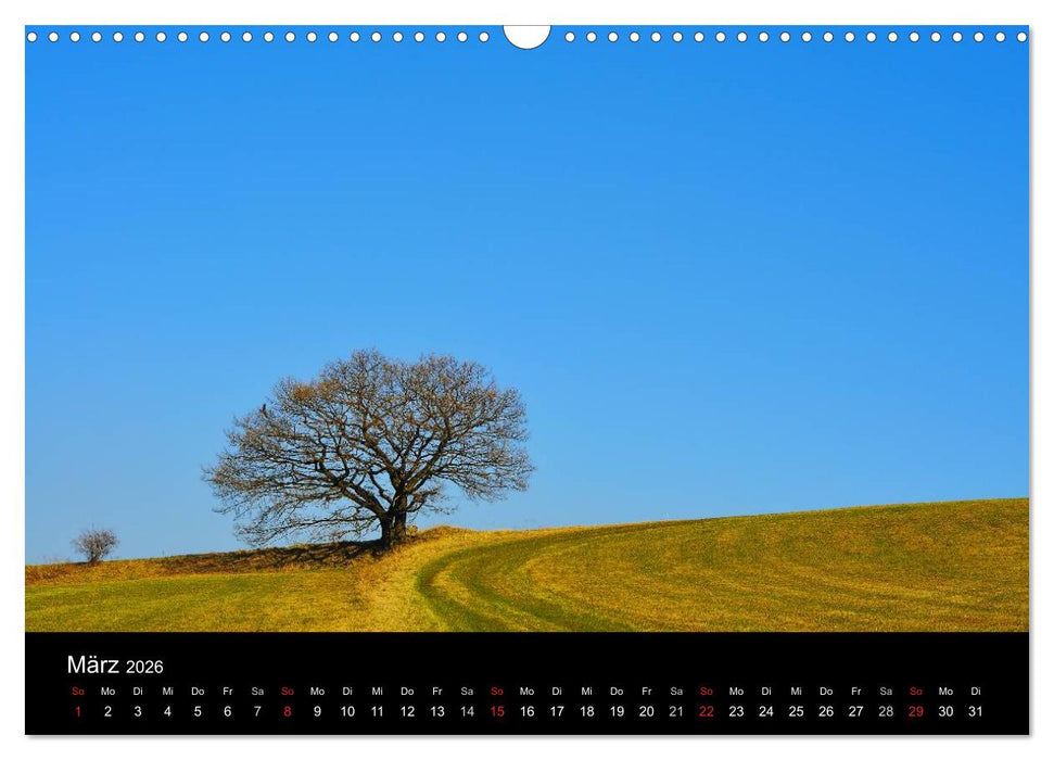 Bäume (CALVENDO Wandkalender 2026)