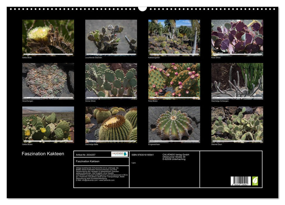 Faszination Kakteen (CALVENDO Wandkalender 2026)