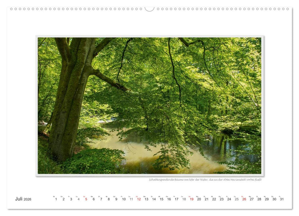 Emotionale Momente: Abtei Marienstatt im Westerwald (CALVENDO Premium Wandkalender 2026)