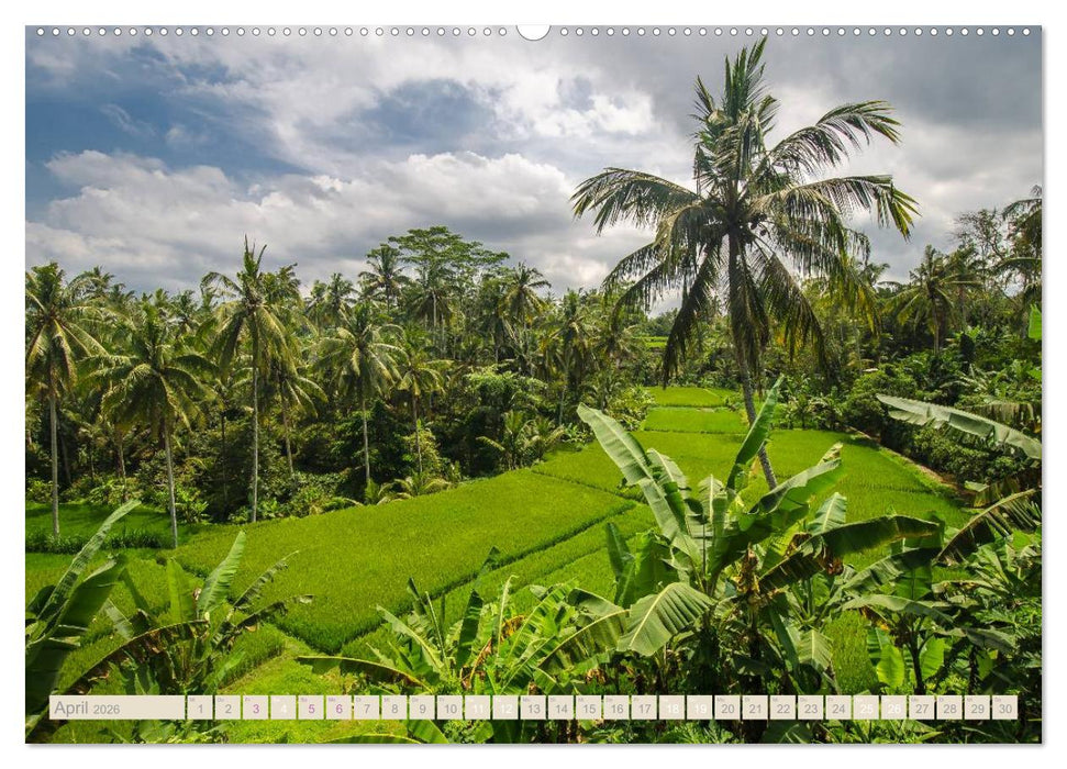 Bali (CALVENDO Premium Wandkalender 2026)