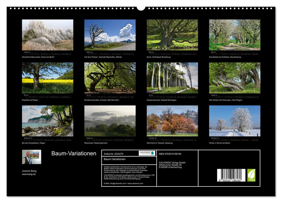 Baum-Variationen (CALVENDO Premium Wandkalender 2026)