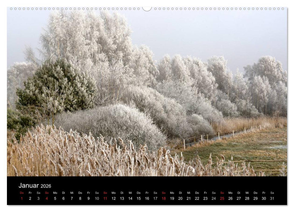 Baum-Variationen (CALVENDO Premium Wandkalender 2026)