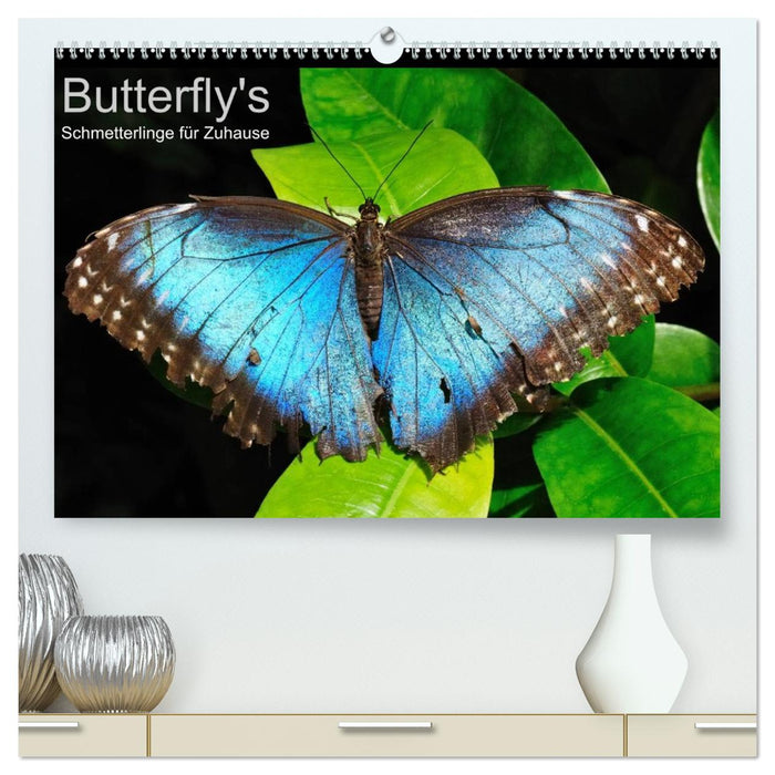 Butterfly's - Schmetterlinge für Zuhause (CALVENDO Premium Wandkalender 2026)