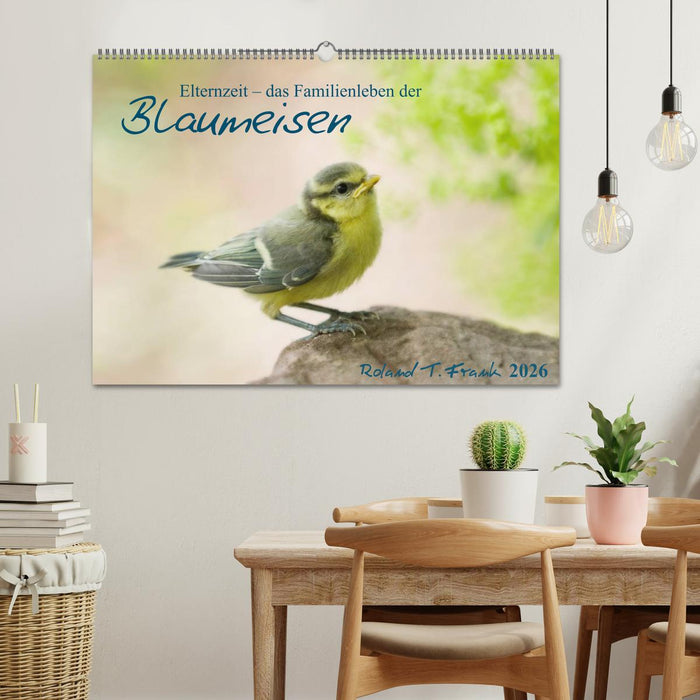 Elternzeit - das Familienleben der Blaumeisen (CALVENDO Wandkalender 2026)