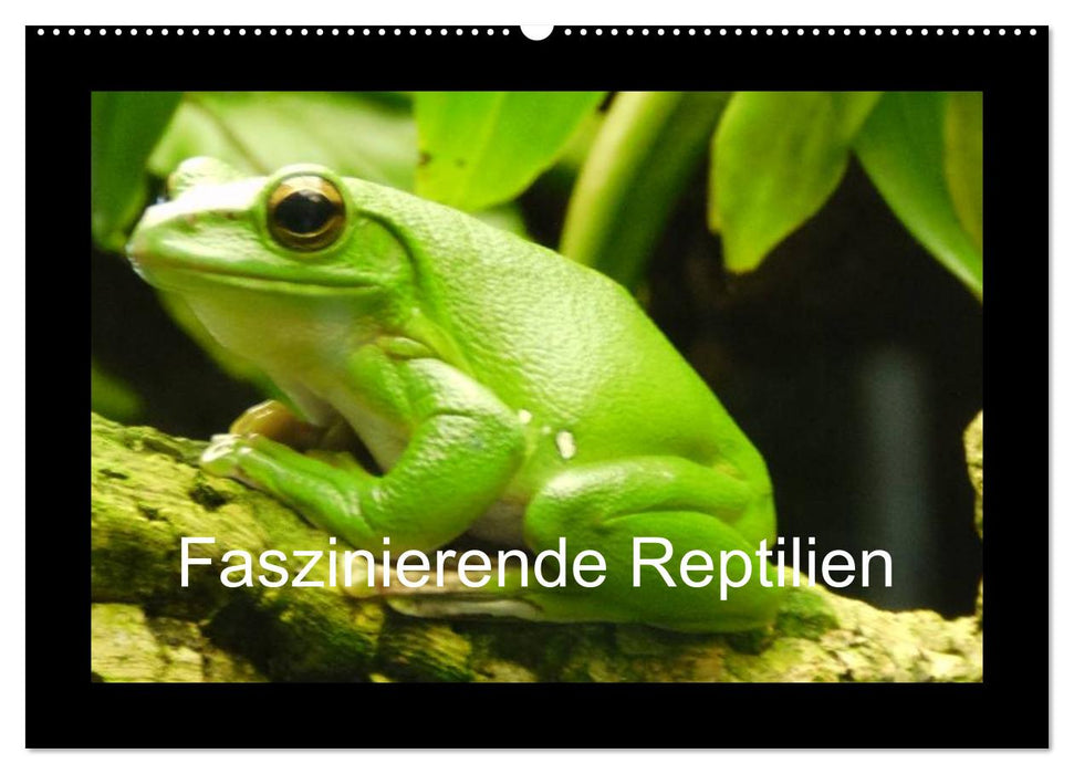 Faszinierende Reptilien (CALVENDO Wandkalender 2026)