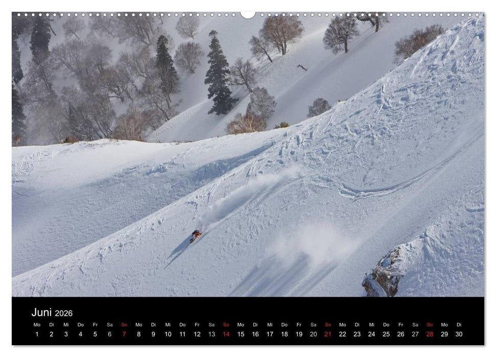 Faskination (CALVENDO Premium Wandkalender 2026)