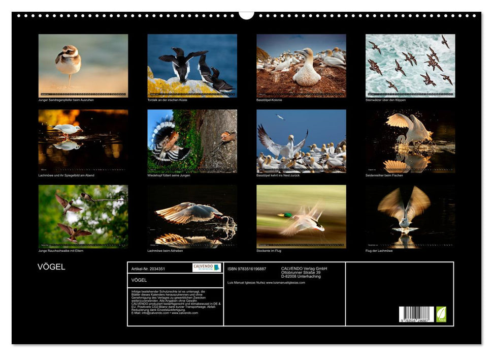 VÖGEL (CALVENDO Wandkalender 2026)