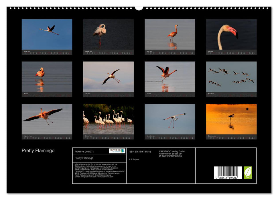 Pretty Flamingo (CALVENDO Premium Wandkalender 2026)