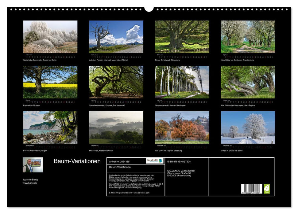 Baum-Variationen (CALVENDO Wandkalender 2026)