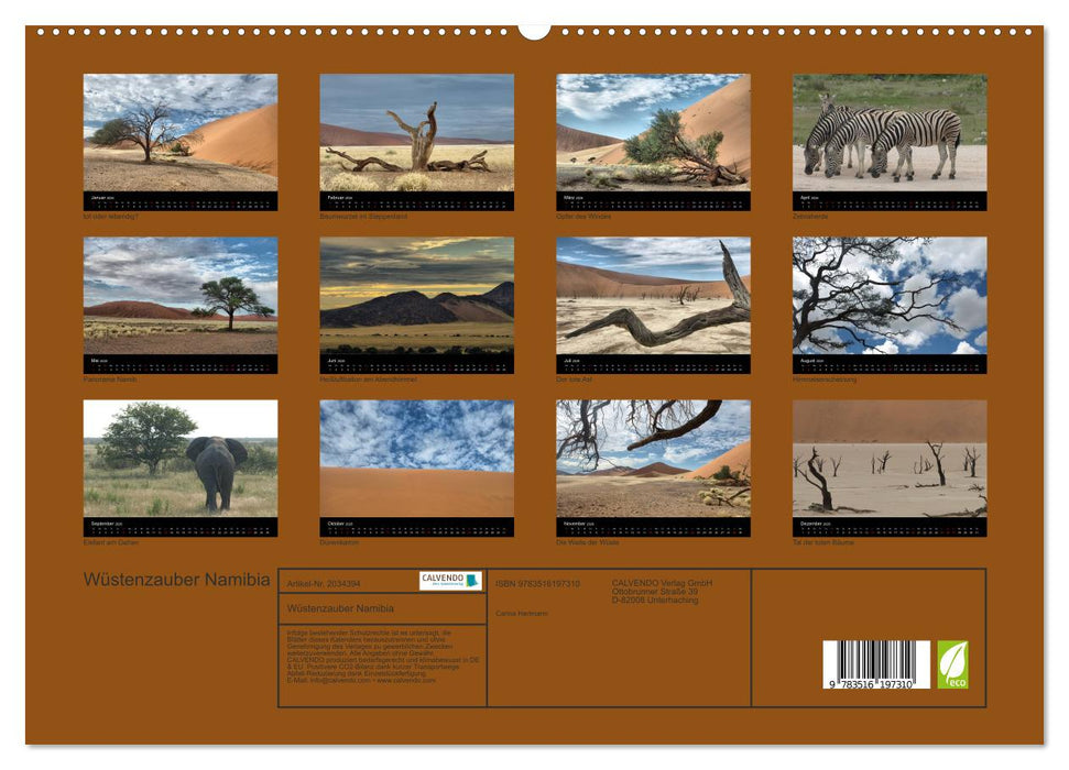 Wüstenzauber Namibia (CALVENDO Premium Wandkalender 2026)