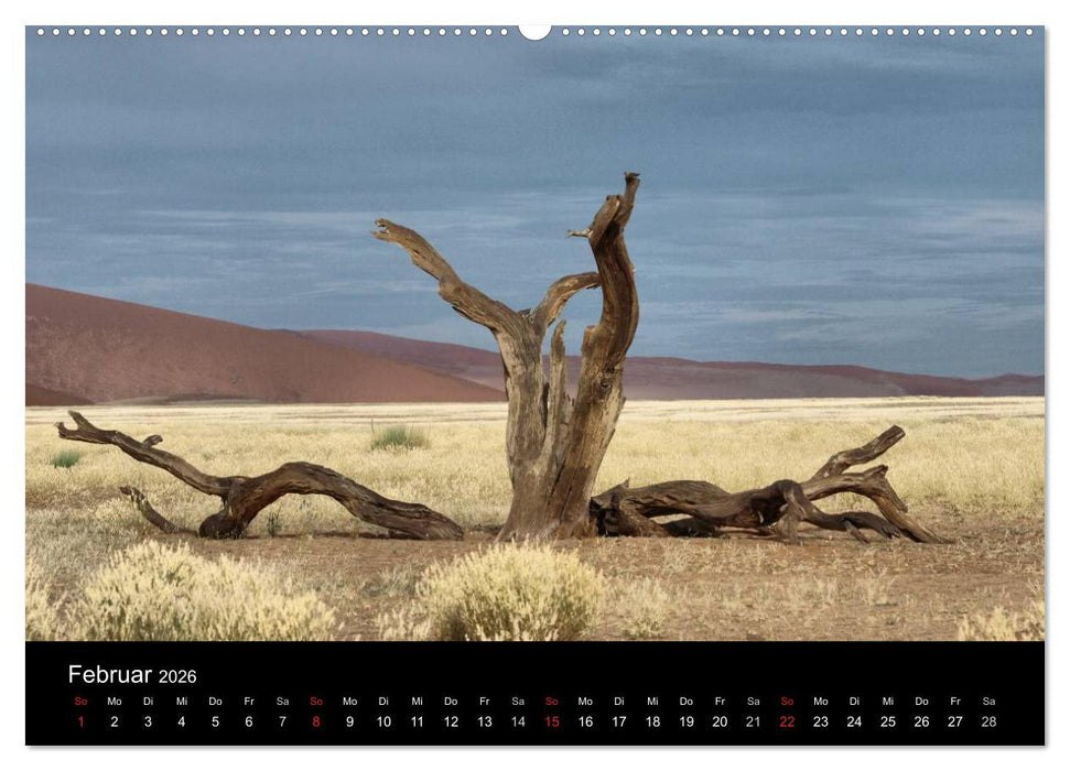 Wüstenzauber Namibia (CALVENDO Premium Wandkalender 2026)