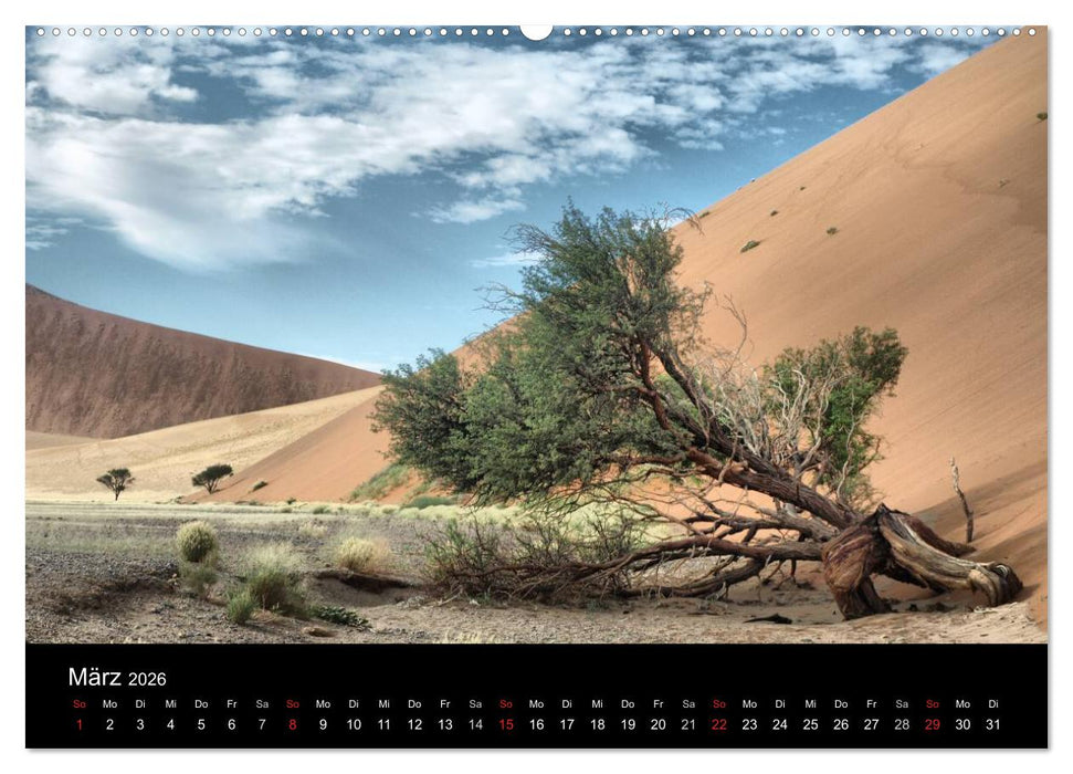 Wüstenzauber Namibia (CALVENDO Premium Wandkalender 2026)